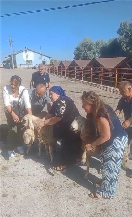 Müşterimiz 7